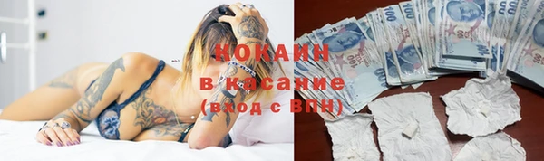 гидра Кукмор