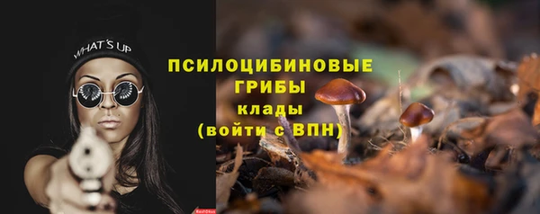 гидра Кукмор
