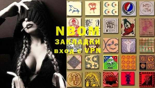 стафф Осинники