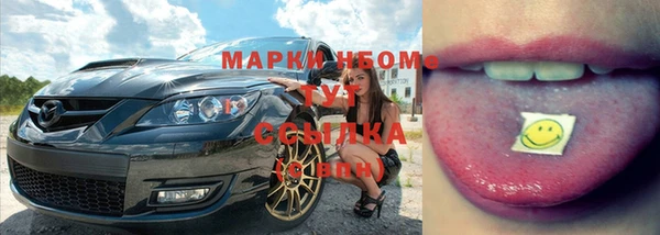 гидра Кукмор