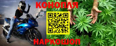 дживик Бийск