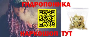 дживик Бийск