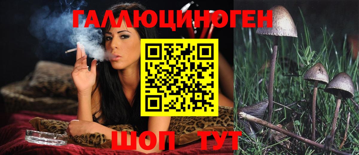 Псилоцибиновые грибы прущие грибы Учалы