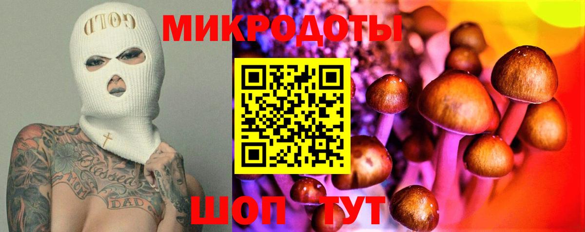 Псилоцибиновые грибы Psilocybe Учалы